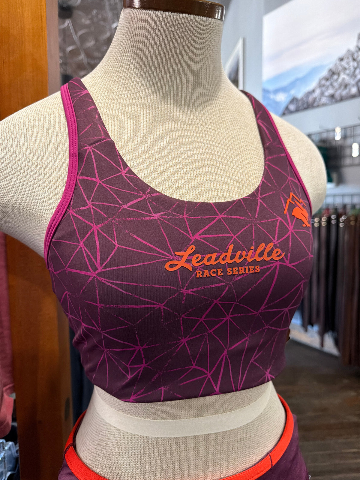 LRS Womens Rabbit Hydration Trail Bra - Mauve Trails